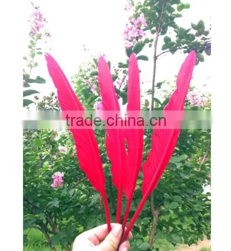 Natural Humpback Feathers 30-40cm 12-16inches photo-3
