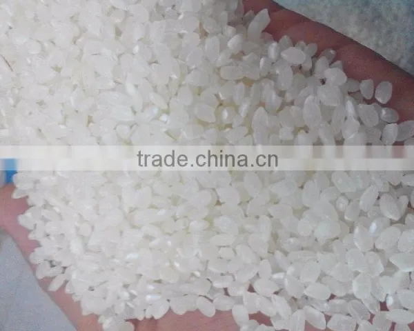 SUSHI RICE (vilaconicexport@gmail.com, or Website: Vinafoodtnt58) SUSHI RICE photo-3