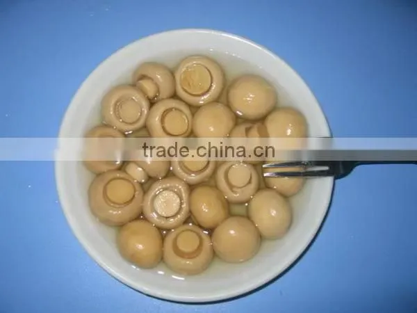 Canned Champignon Mushroom