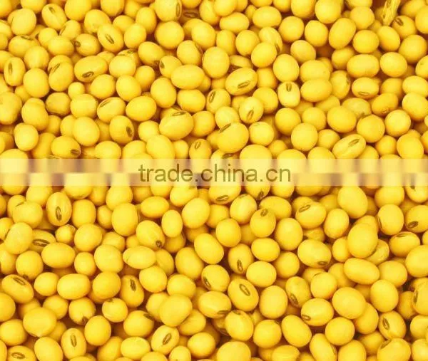 Yellow Mung Beans