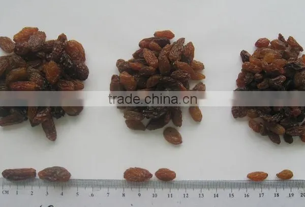 Wholesale Top Quality Seeded Raisin(golden,green,sultana,sun Dried)
