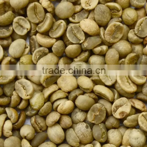 BEST SELLING ROBUSTA COFFEE S13/S16/S18 photo-2