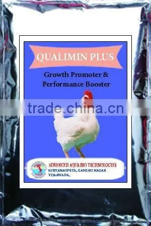 Poultry Feed Supplements