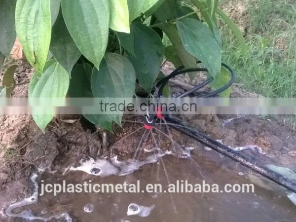Cambodia Hot Sale Pepper Irrigation System photo-3