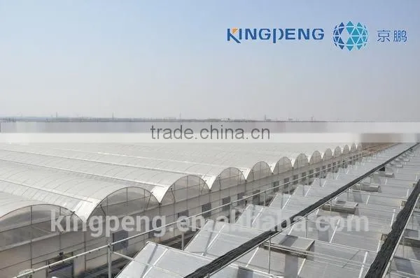 Agricultural Growing Greenhouse photo-3