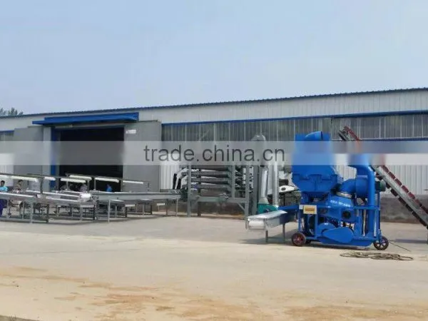 Peanut Kernal Sorting Line