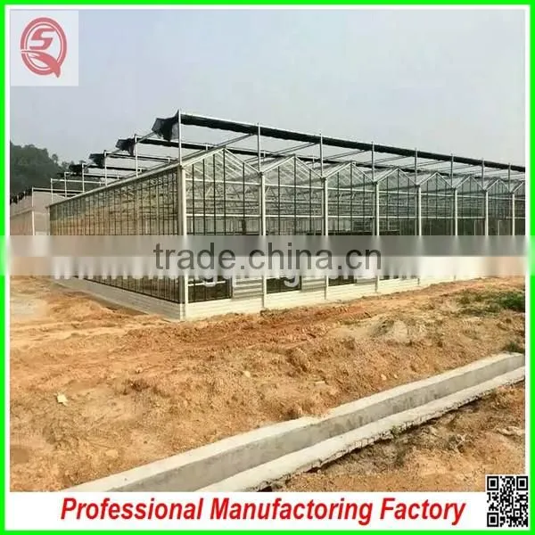 Cheapest Price PC Board Agricultural Greenhouses With Hydroponic System photo-2
