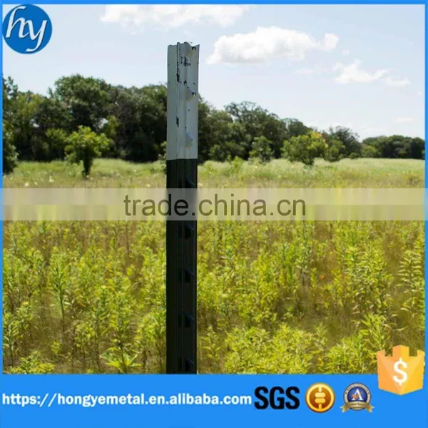 China Factory Vineyard Metal Trellis Post Fence Post Caps for Sale photo-2