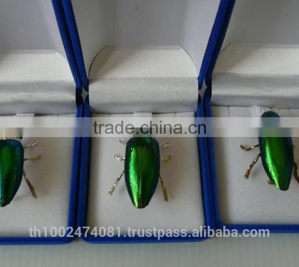Brooch 2014 photo-3