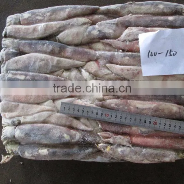Natural Sea Frozen Illex Squid photo-3