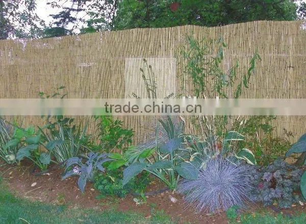 Reed Fence photo-4