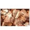 Golden, Silver, Expanded Vermiculite
