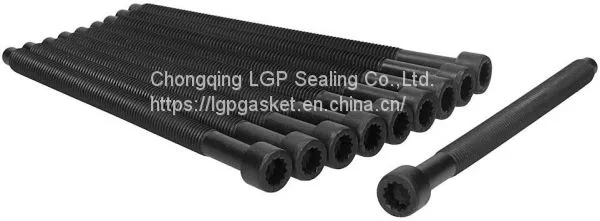 Cylinder Head Bolt Kits for Audi OEM 038103384 Ajusa 81026000