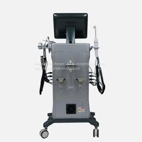 SKIN OXYGEN SYSTEM Oxygen Facial Treatment Machine Skin Rejuvenation Beauty Machine Supplier photo-2