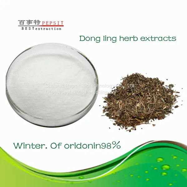 Oridonin a Natural Plant Extract
