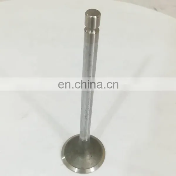 Intake Valve For Truck Engine Parts 4981794 On Sale photo-2
