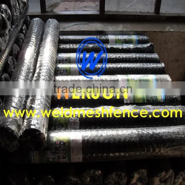 Stainless Steel Hexagonal Wire Netting photo-3