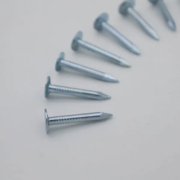 China Factory Direct Flat Head Roofing Nails 25kg Bulk for Roofing Projects photo-2
