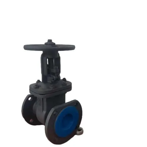 GOST Russian Cast Iron Carbon Steel Metal Seat PN16 PN25 DN100 Flanged Rising Stem Handwheel Operated Gate Valve photo-5