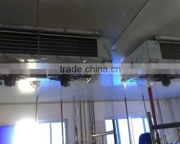 Dual Discharge Air Cooler photo-3