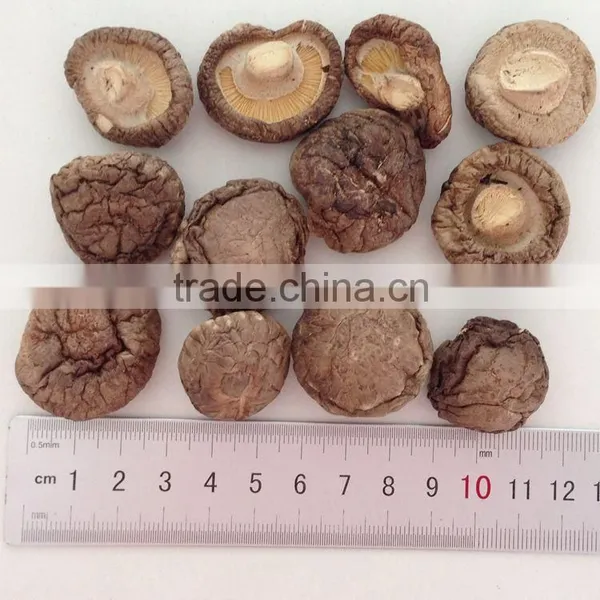 China Dried Shiitake Mushroom With Cap 3-4 CM photo-3