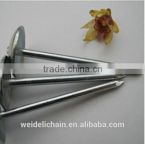 Twisted Shank Umbrella Roofing Nails photo-4