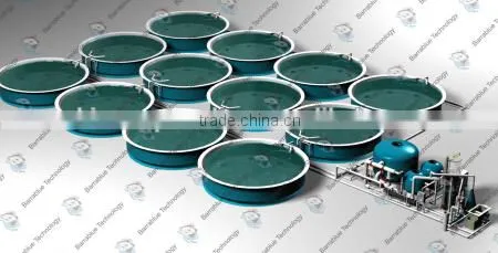 RAS technology/RAS design, RAS equipments manufacture/complete RAS installation/ aquaculture systems