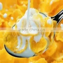Automatic Corn Flakes/Breakfast Cereals Machine/Extruder/Processing Line photo-5