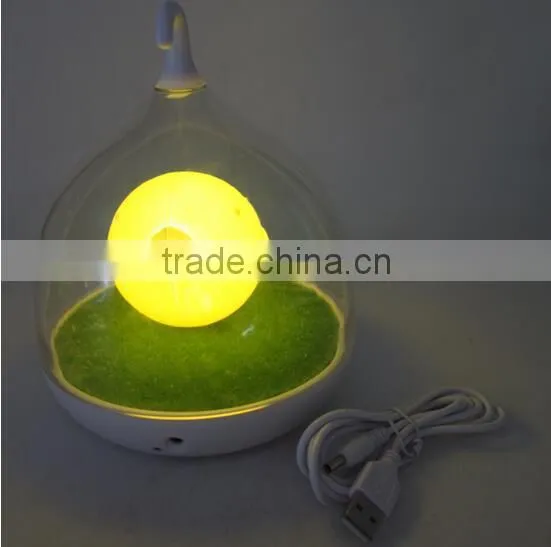 Rechargeable 4 SMD LED Bird Cage USB Night Light photo-3