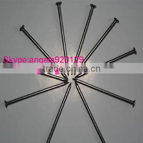 Common Nail Iron Nail High Quality Common Nail From Factory photo-2