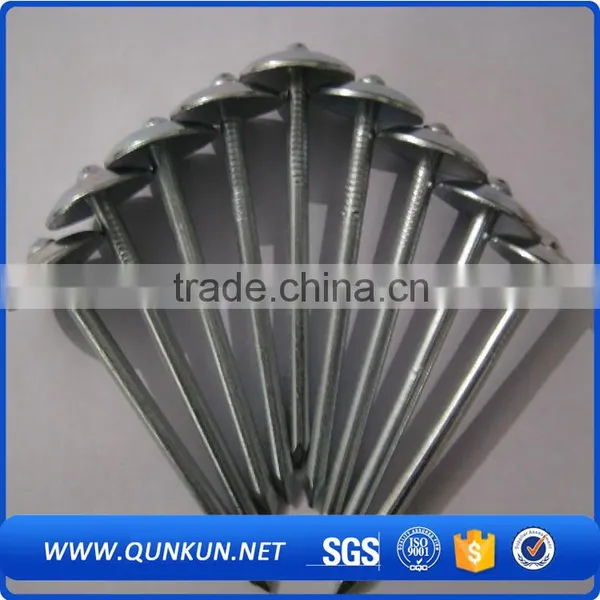 Screw Shank Twisted Roofing Nail photo-3