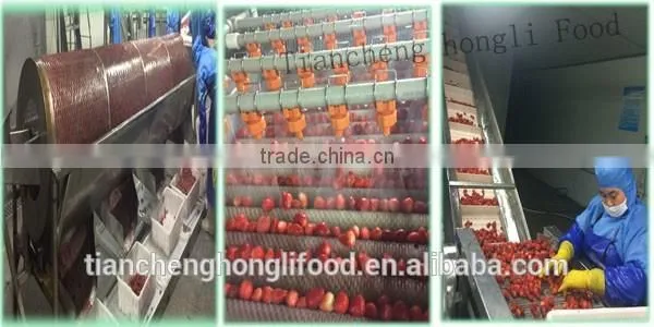 2015 New Crop IQF Strawberry photo-2