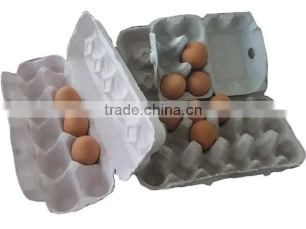 Molded Fiber Product Machine photo-6