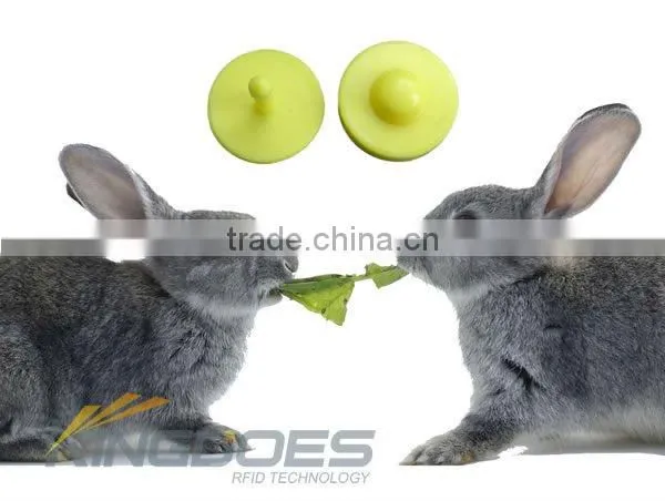 LF RFID Ear Tag for Rabbit Identification photo-5