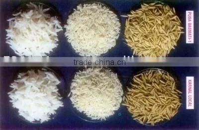 Basmati Rice