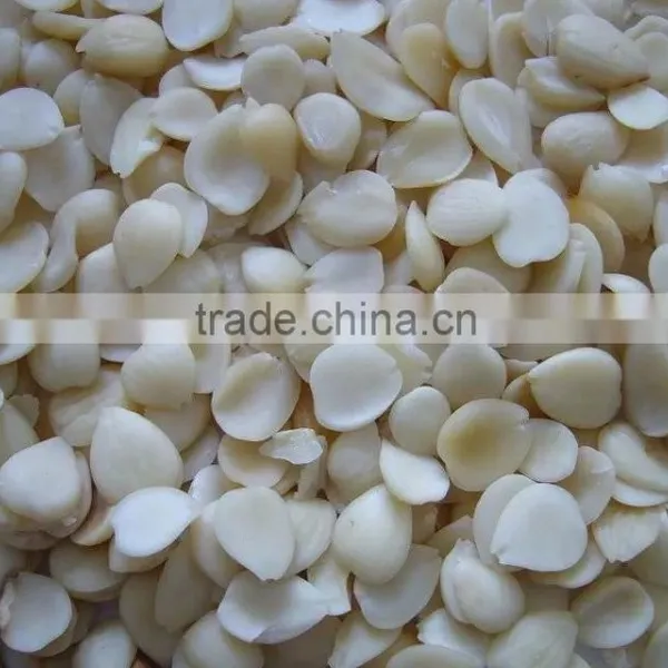 Blanched Apricot Kerenels(almond) Flakes in China photo-4