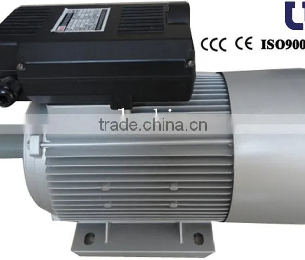 YL Two-value Capacitor Single-phase Motor 2 POLES