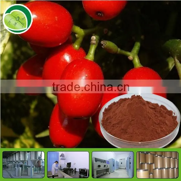 Ning Xia Wolfberry Extract Wolfberry Extract