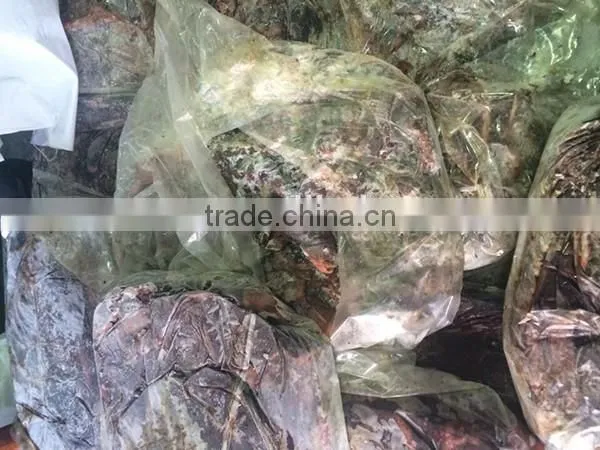 Frozen Tuna Black Meat Fresh Dark Meat for Sale photo-3