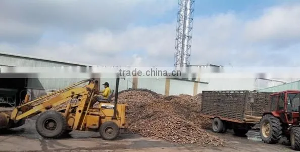 Native Cassava Starch photo-3