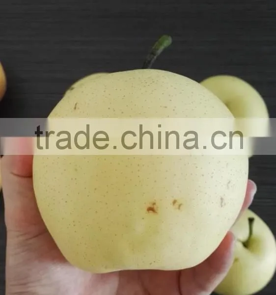 Fruits South Africa Pear Fruit photo-2