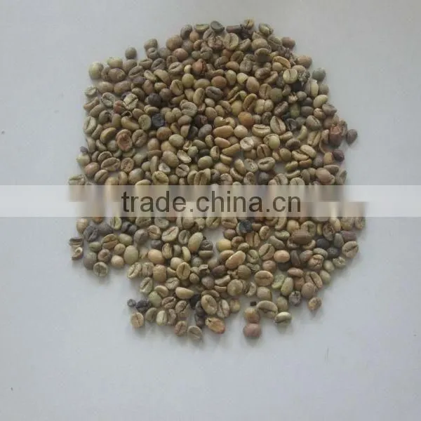 VIETNAM HIGH QUALITY ROBUSTA COFFEE S18 (website&Yahoo: Visimex06) photo-3