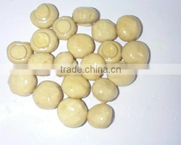 Salted Champignon Mushroom