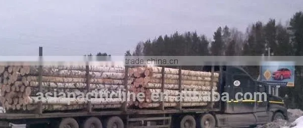 HARDWOOD / LARCH WOOD LOGS TIMBER RUSSIAN ORIGIN photo-3