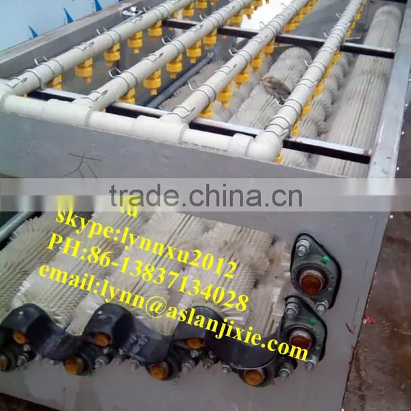 Potato Peeling Machine /industrial Potato Washer photo-4