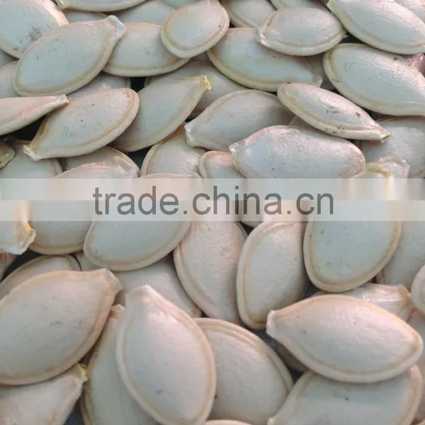Snow White Pumpkin Seeds in Shell