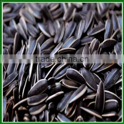 Sale Chinese Best Quality and Cheap Raw Sunflower Seeds In Bulk for Bird Food photo-2