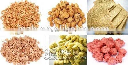 Vegetable Soya Protein Making Machines photo-3
