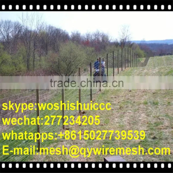South Africa Field Fence, Farm Fencing photo-3