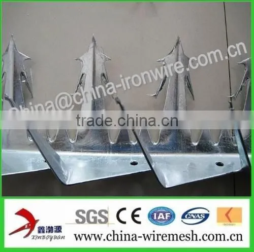 Barbed Nails /Wall Splikes/ Security Spikes (factory ) photo-4